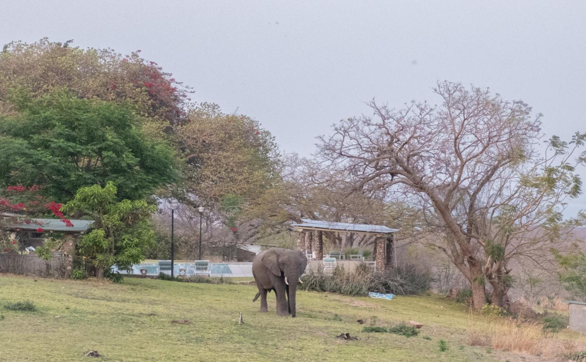 Musungwa Safari Lodge Shanjungu Dış mekan fotoğraf