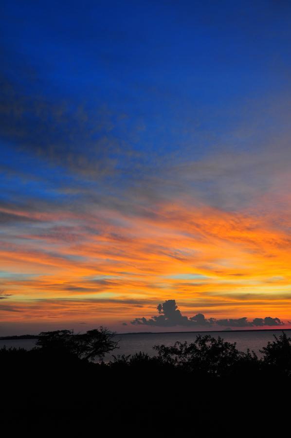 Musungwa Safari Lodge Shanjungu Dış mekan fotoğraf